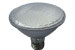 PAR 30 LED Light