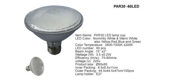 Par 30 LED Light