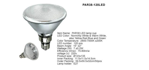 Par 38 LED Light